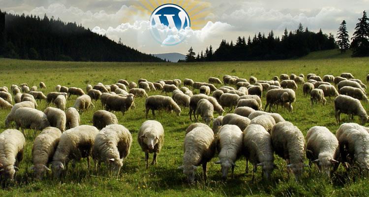 Por que não usamos mais o WordPress para criação de sites