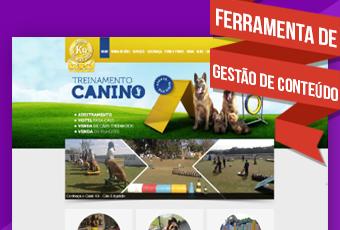 Desenvolvimento de Sites 4