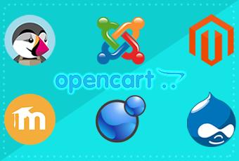 Frameworks e CMS's 2