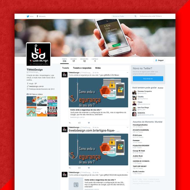 Ti Web Design