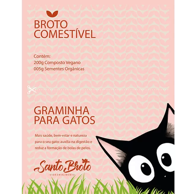 Santo Broto