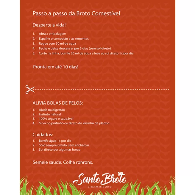 Santo Broto