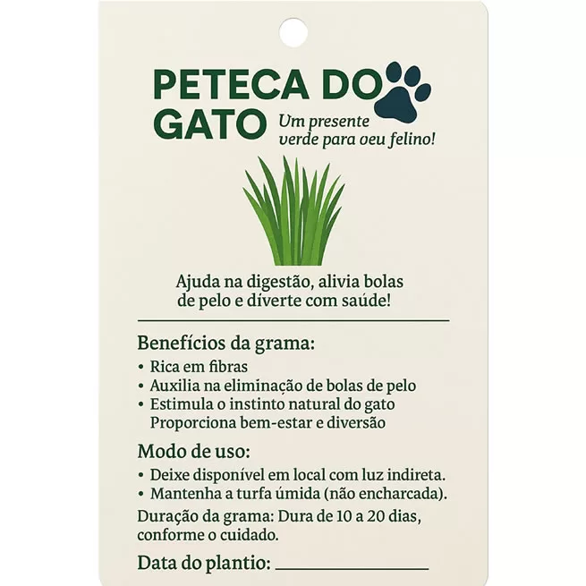 Santo Broto